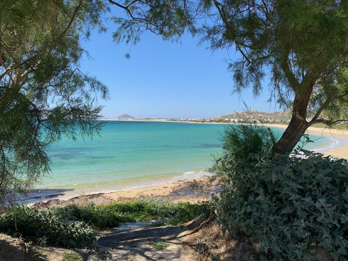 Villa Paradise In Naxos Pláka Екстериор снимка