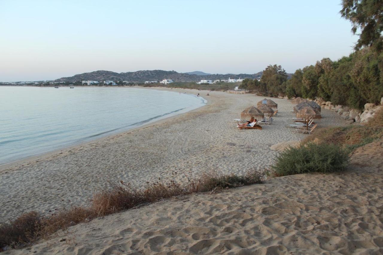 Villa Paradise In Naxos Pláka Екстериор снимка