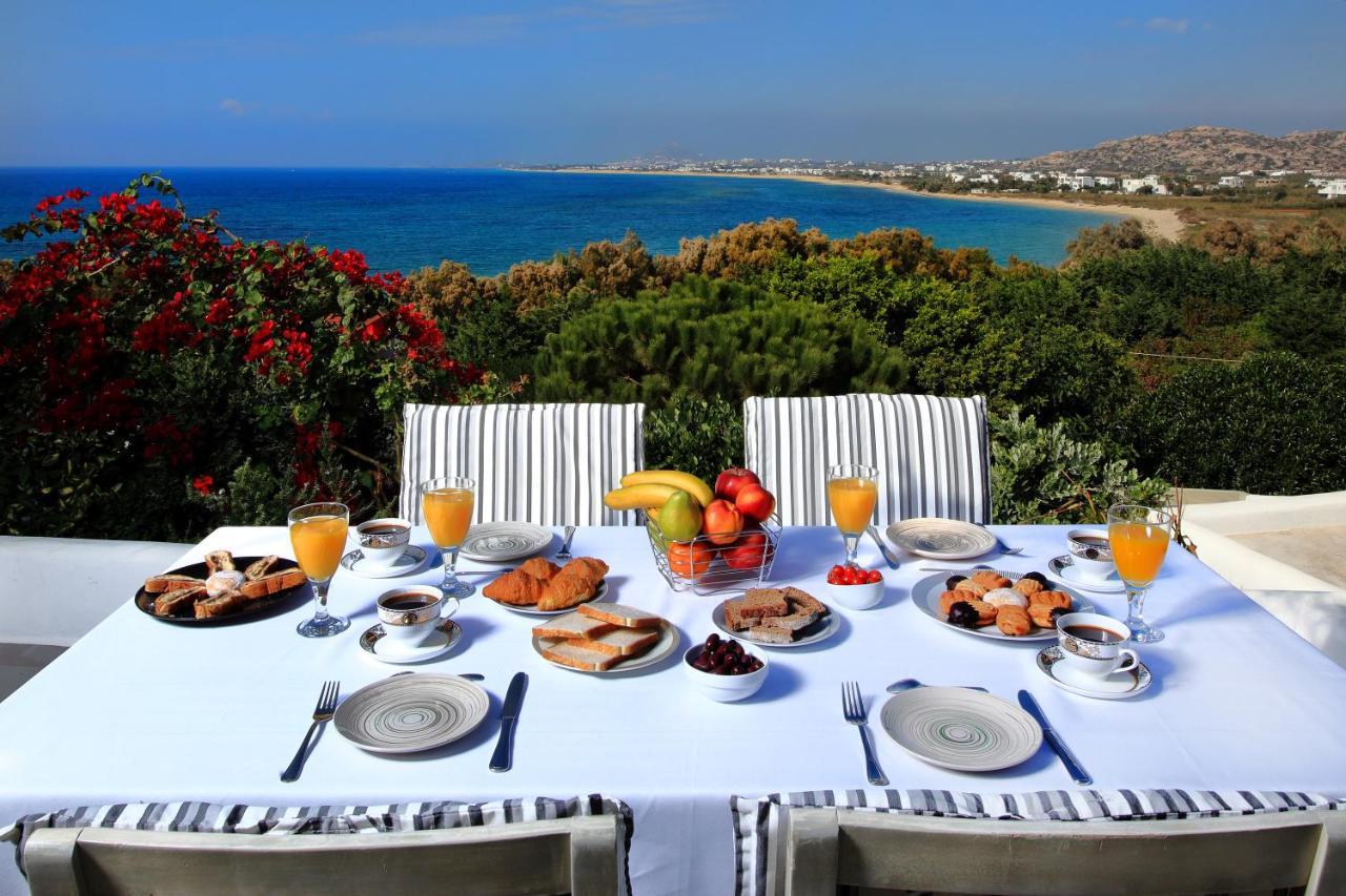 Villa Paradise In Naxos Pláka Екстериор снимка