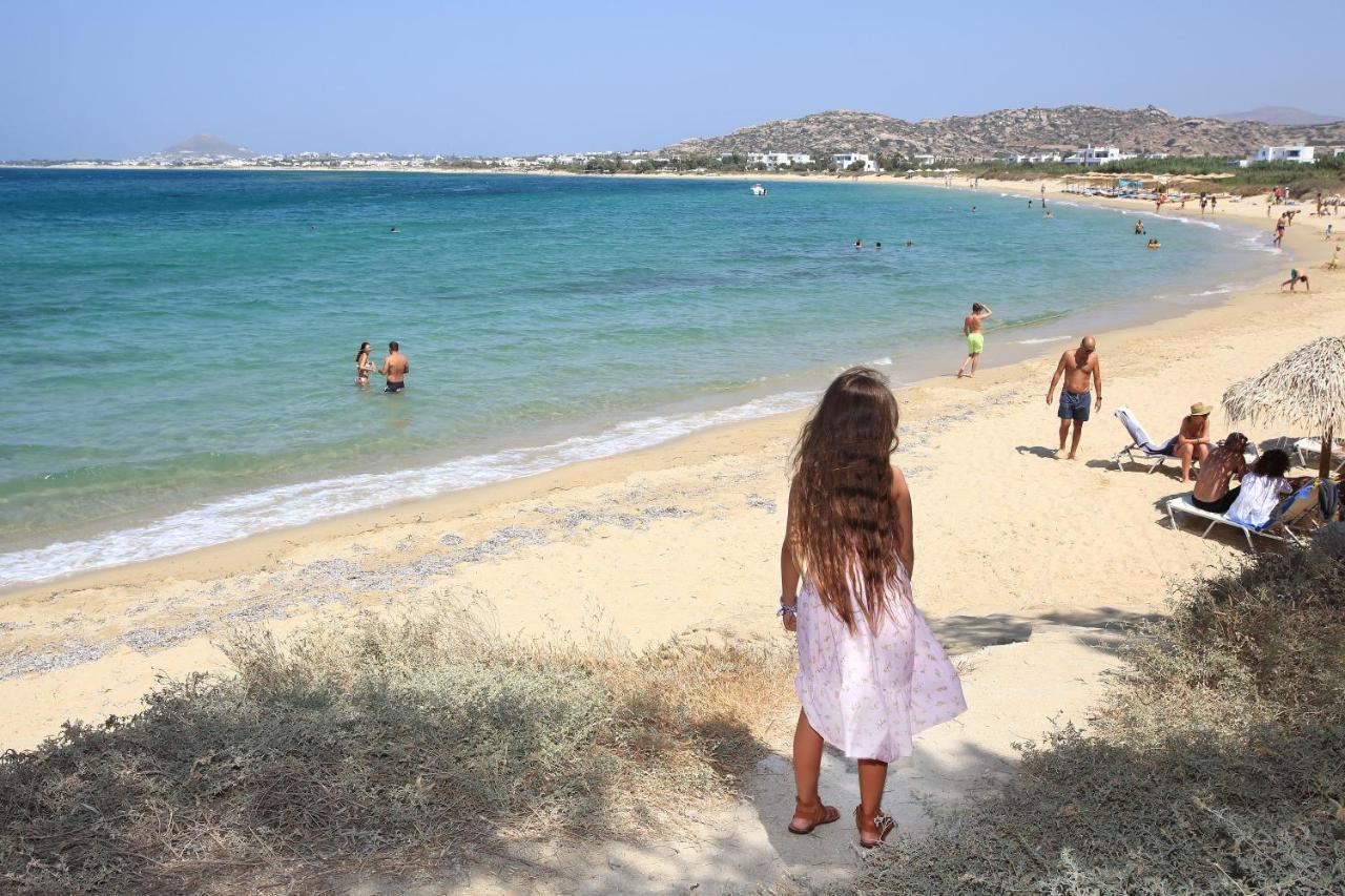 Villa Paradise In Naxos Pláka Екстериор снимка