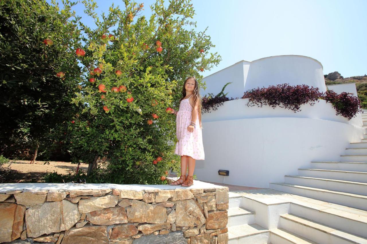 Villa Paradise In Naxos Pláka Екстериор снимка