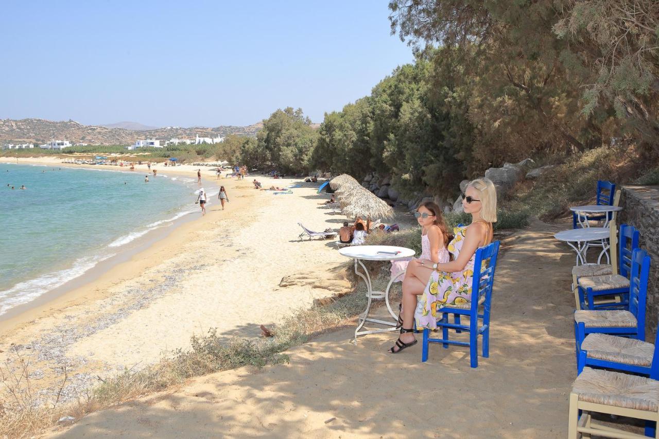 Villa Paradise In Naxos Pláka Екстериор снимка